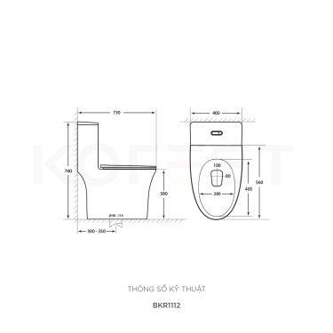 Bàn cầu 1 khối BKR1112