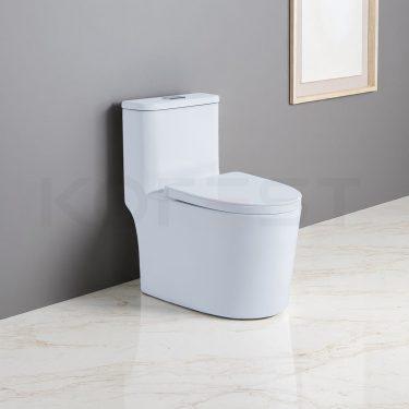 Bàn cầu 1 khối BKR9918