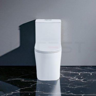 Bàn cầu 1 khối BKR1113