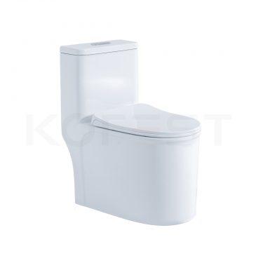Bàn cầu 1 khối BKR9911