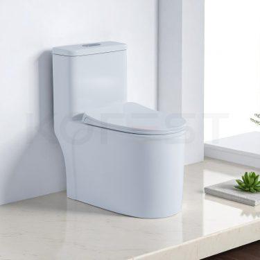Bàn cầu 1 khối BKR9911