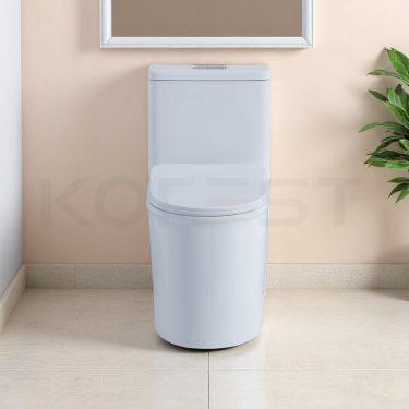Bàn cầu 1 khối BKR9911
