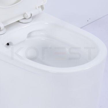 Bàn cầu 1 khối BKR9912