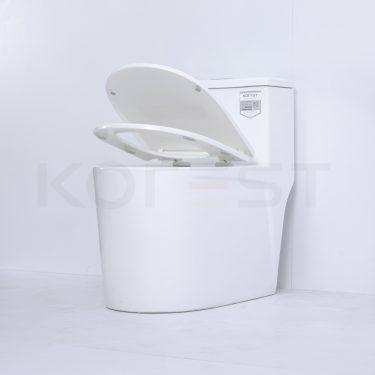 Bàn cầu 1 khối BKR9912