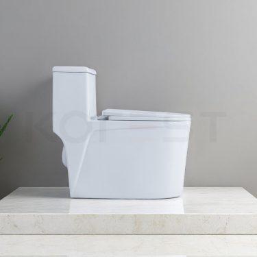 Bàn cầu 1 khối BKR9912