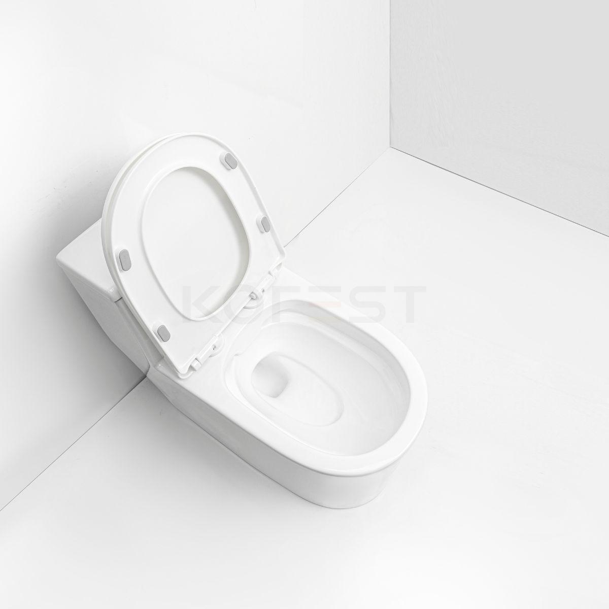 Bàn cầu 1 khối BKR9912 - Ảnh thực tế