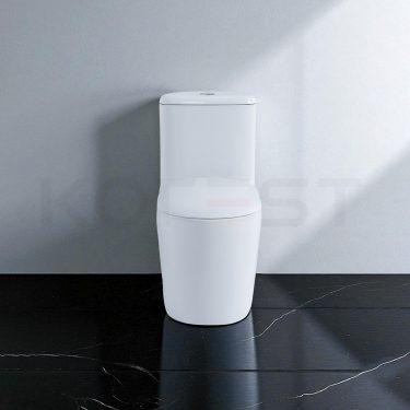Bàn cầu 1 khối BKR1110