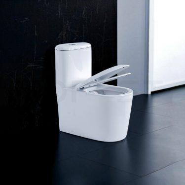 Bàn cầu 1 khối BKR1110