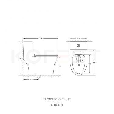 Bàn cầu 1 khối BKR654-S