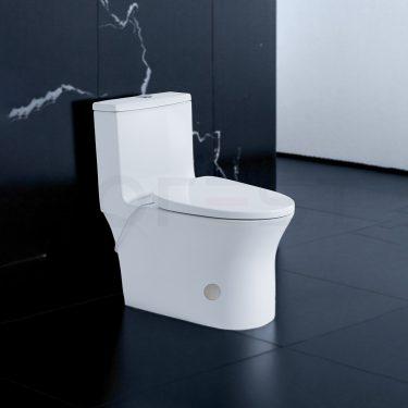 Bàn cầu 1 khối BKR654-S