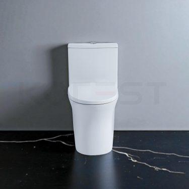 Bàn cầu 1 khối BKR654-S