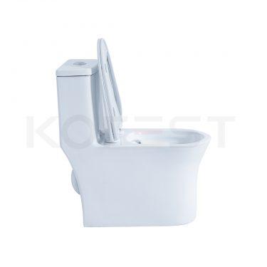 Bàn cầu 1 khối BKR9910