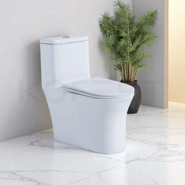 Bàn cầu 1 khối BKR9910