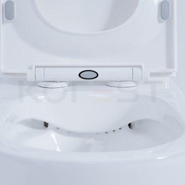 Bàn cầu 1 khối BKR9916