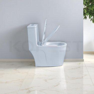 Bàn cầu 1 khối BKR9916