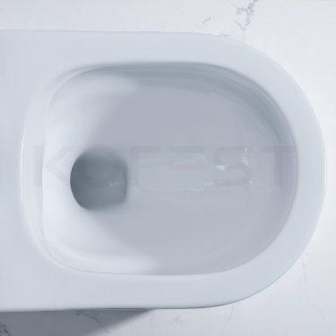 Bàn cầu 1 khối BKR9916