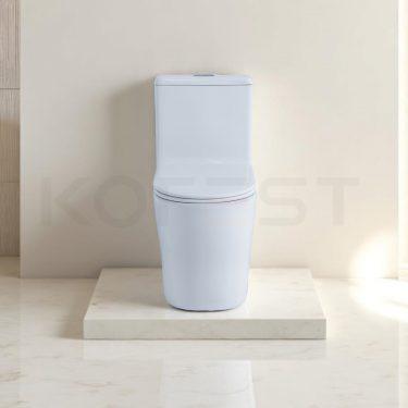 Bàn cầu 1 khối BKR9916
