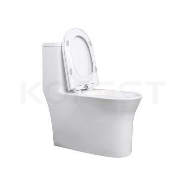 Bàn cầu 1 khối BKR9910