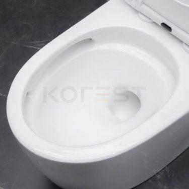 Bàn cầu 1 khối BKR9915
