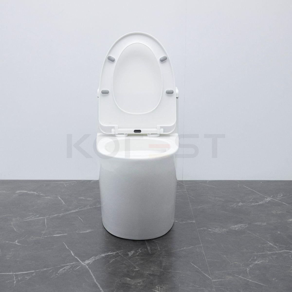 Bàn cầu 1 khối BKR9915 Korest - Ảnh chụp thực tế