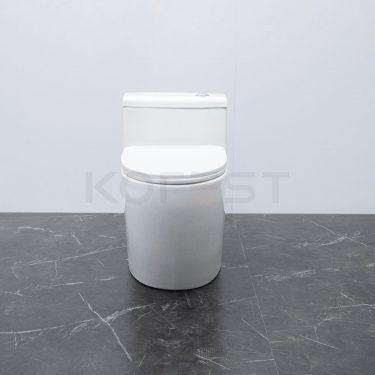 Bàn cầu 1 khối BKR9915